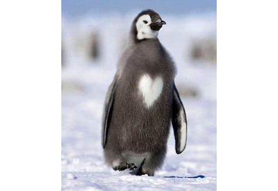 Молодые специалисты