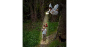 ПРИНЦИПЫ РАБОТЫ ПРОГРАММЫ