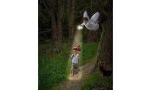 ПРИНЦИПЫ РАБОТЫ ПРОГРАММЫ